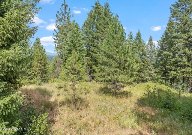 Photo 3 of Land for sale at Nka E Forest View Rd, Athol, ID 83801 | MLS# 26-7434 | Listing updated on 2026-09-21