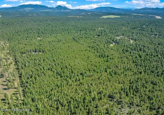 21st image of 2013 Homestead Rd, Athol, ID 83801 | MLS# 26-7317