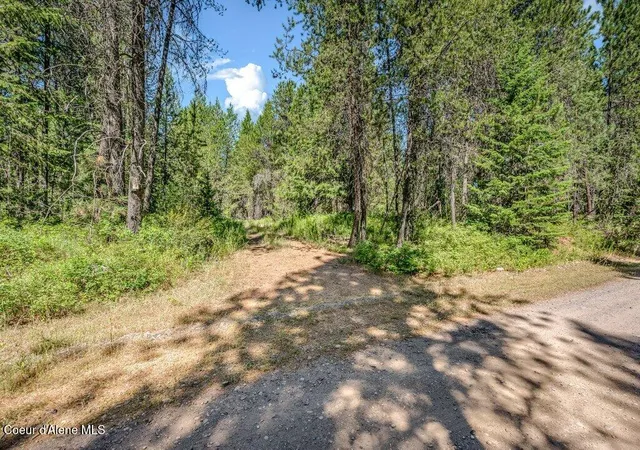 2nd image of 2013 Homestead Rd, Athol, ID 83801 | MLS# 26-7317