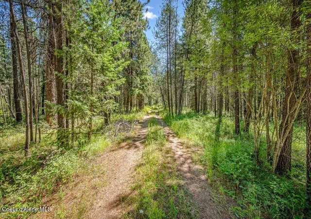 Photo 3 of Single family home for sale at 2013 Homestead Rd, Athol, ID 83801 | MLS# 26-7328 | Listing updated on 2026-09-09