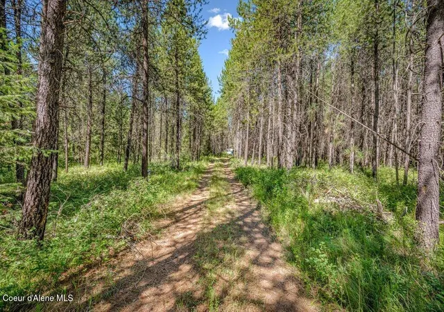 Photo 4 of Single family home for sale at 2013 Homestead Rd, Athol, ID 83801 | MLS# 26-7328 | Listing updated on 2026-09-09