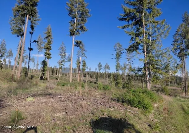 Photo 4 of Land for sale at Nna This Way Rd Lot 1 & 2, Bonners Ferry, ID 83805 | MLS# 26-7313 | Listing updated on 2026-09-01