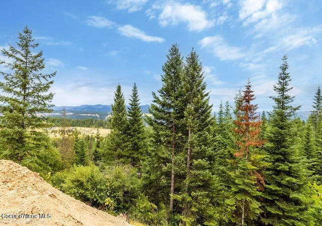 36th image of Nka Land Conkling Rd W, Worley, ID 83876 | MLS# 26-7415