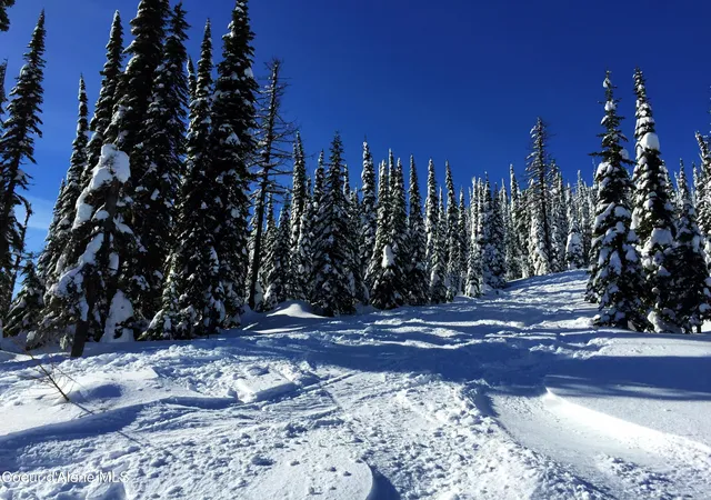 Photo 3 of Land for sale at Nna Tall Timber B3 Lot 12, Sandpoint, ID 83864 | MLS# 26-7390 | Listing updated on 2026-07-17