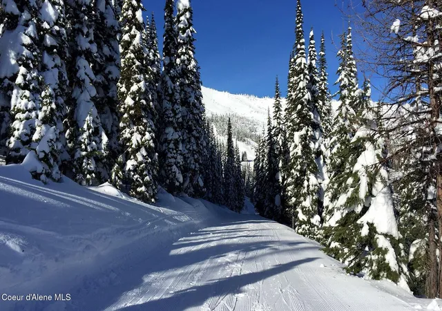 Photo 4 of Land for sale at Nna Tall Timber B3 Lot 12, Sandpoint, ID 83864 | MLS# 26-7390 | Listing updated on 2026-07-17
