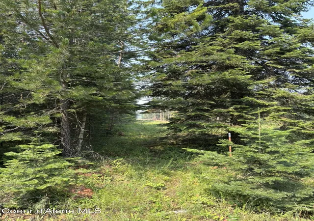 Photo 3 of Single family home for sale at 29921 N Two Rock Rd, Athol, ID 83801 | MLS# 26-7424 | Listing updated on 2026-09-17