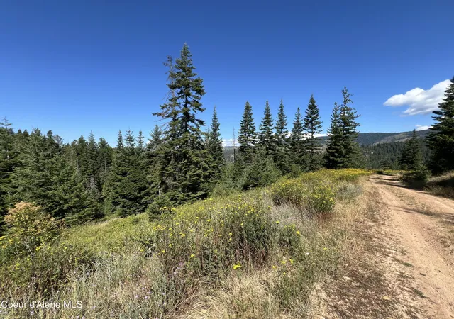 Photo 2 of Land for sale at 10 Kingston Way, Kingston, ID 83839 | MLS# 26-7829 | Listing updated on 2026-08-06