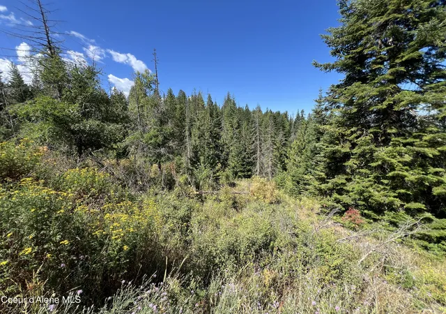 Photo 3 of Land for sale at 10 Kingston Way, Kingston, ID 83839 | MLS# 26-7829 | Listing updated on 2026-08-06