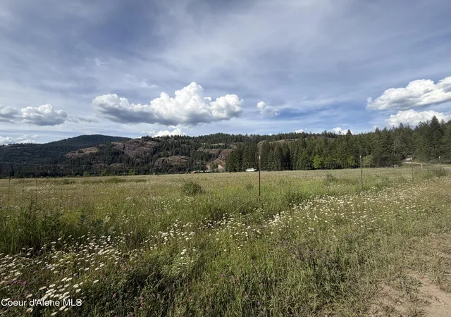 44th image of 113 Bear Hill Rd, Clark Fork, ID 83811 | MLS# 26-7466