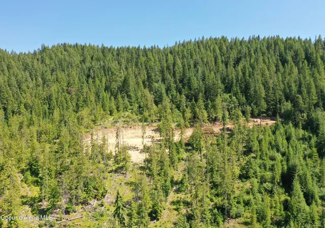 Photo 3 of Land for sale at 200 Alpine Dr, Fernwood, ID 83830 | MLS# 26-7432 | Listing updated on 2026-08-28