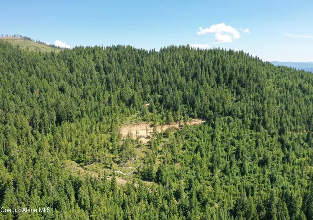 Photo 3 of Land for sale at 200 Alpine Dr, Fernwood, ID 83830 | MLS# 26-7432 | Listing updated on 2026-08-28