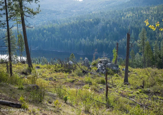 Photo 1 of Land for sale at Lot 1 Dollar Crk Dr, Sagle, ID 83860 | MLS# 26-7445 | Listing updated on 2026-09-09
