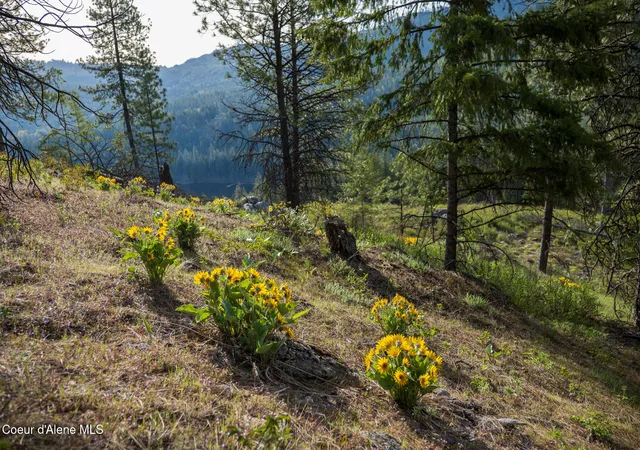Photo 3 of Land for sale at Lot 1 Dollar Crk Dr, Sagle, ID 83860 | MLS# 26-7445 | Listing updated on 2026-09-09