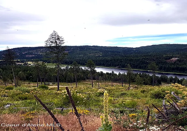 Photo 1 of Land for sale at Lot 2 Dollar Crk Dr, Sagle, ID 83860 | MLS# 26-7448 | Listing updated on 2026-07-18