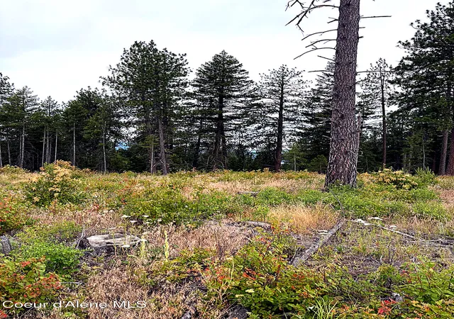 Photo 3 of Land for sale at Lot 2 Dollar Crk Dr, Sagle, ID 83860 | MLS# 26-7448 | Listing updated on 2026-07-18