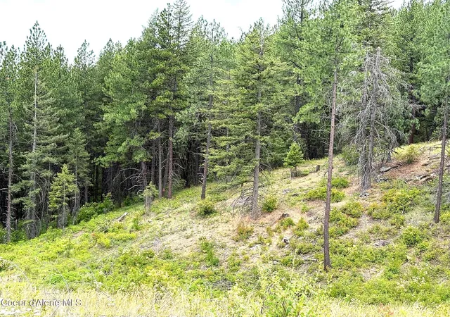 Photo 4 of Land for sale at Lot 2 Dollar Crk Dr, Sagle, ID 83860 | MLS# 26-7448 | Listing updated on 2026-07-18