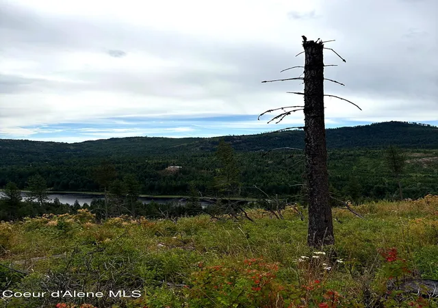 Photo 3 of Land for sale at Lot 3 Dollar Crk Dr, Sagle, ID 83860 | MLS# 26-7449 | Listing updated on 2026-07-18