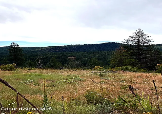 Photo 3 of Land for sale at Lot 3 Dollar Crk Dr, Sagle, ID 83860 | MLS# 26-7449 | Listing updated on 2026-07-18