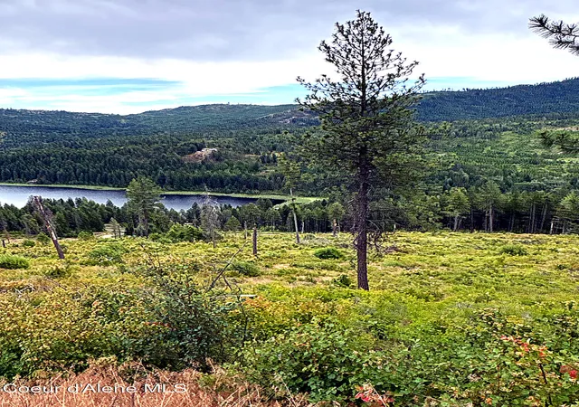Photo 4 of Land for sale at Lot 4 Dollar Crk Dr, Sagle, ID 83860 | MLS# 26-7450 | Listing updated on 2026-07-18