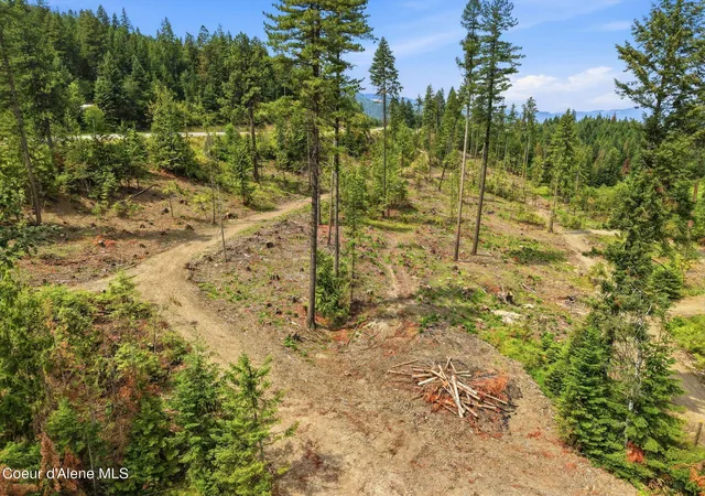 Photo 4 of Land for sale at Nka Hwy 5 Idaho, Saint Maries, ID 83861 | MLS# 26-7500 | Listing updated on 2026-09-16