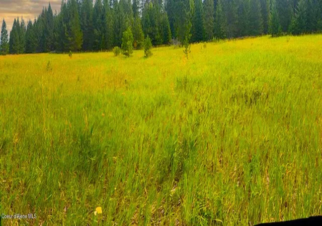 16th image of Nna Ginger Ln, Bonners Ferry, ID 83805 | MLS# 26-7552