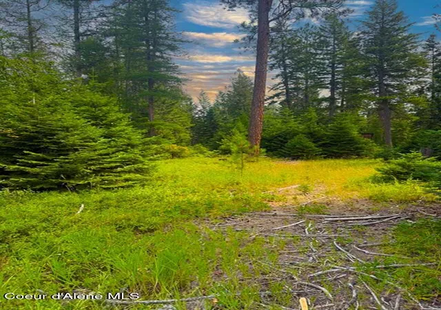 1st image of Nna Ginger Ln, Bonners Ferry, ID 83805 | MLS# 26-7552