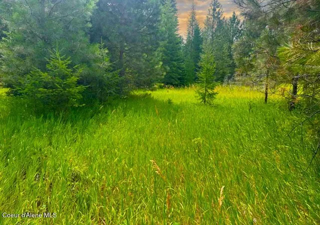 2nd image of Nna Ginger Ln, Bonners Ferry, ID 83805 | MLS# 26-7552