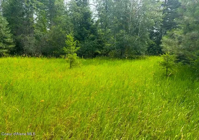 Photo 3 of Land for sale at Nna Ginger Ln, Bonners Ferry, ID 83805 | MLS# 26-7552 | Listing updated on 2026-08-20