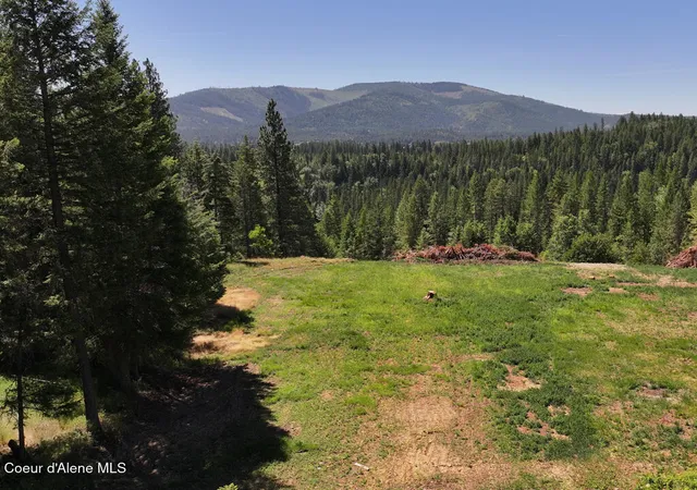 2nd image of 560 Terry Trl, Priest River, ID 83856 | MLS# 26-7520