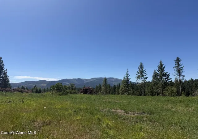 Photo 4 of Land for sale at 560 Terry Trl, Priest River, ID 83856 | MLS# 26-7520 | Listing updated on 2026-07-21