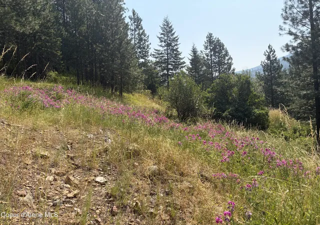 Photo 14 of Land for sale at Lots 1 3 Pine St, Mullan, ID 83846 | MLS# 26-7584 | Listing updated on 2026-07-24