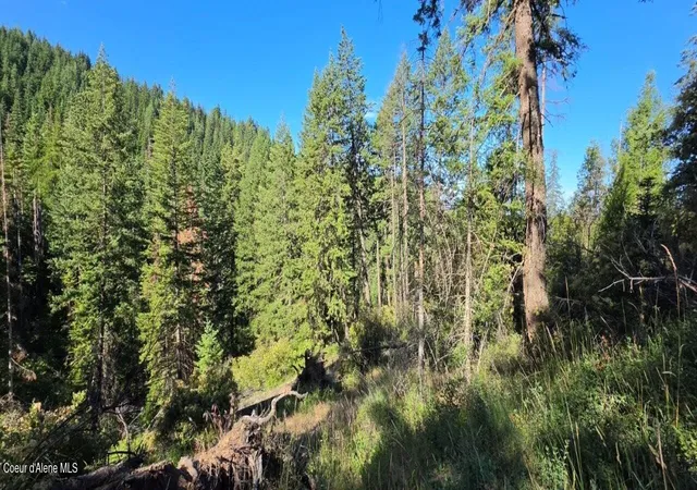 Photo 1 of Land for sale at N Gages Mountain Rd, Coeur D Alene, ID 83814 | MLS# 26-7547 | Listing updated on 2026-07-22