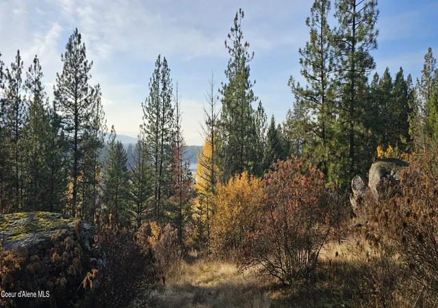 1st image of 125 Tracker Wy, Laclede, ID 83841 | MLS# 26-7600