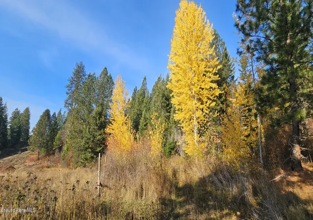 Photo 3 of Land for sale at 125 Tracker Way, Laclede, ID 83841 | MLS# 26-7600 | Listing updated on 2026-09-29