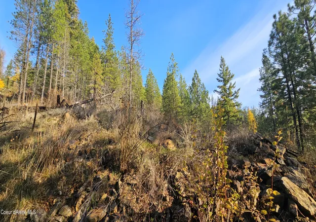 40th image of 125 Tracker Wy, Laclede, ID 83841 | MLS# 26-7600