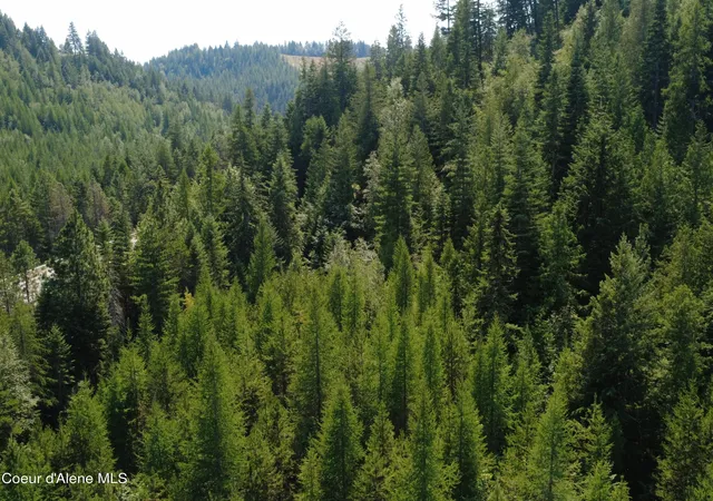 23rd image of Nka Hwy 95, Bonners Ferry, ID 83805 | MLS# 26-7698