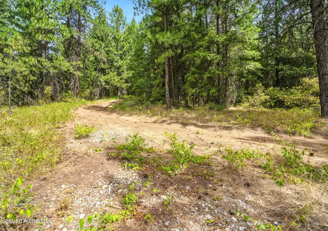 28th image of Nna Usfs 2550 (40 Acres), Blanchard, ID 83804 | MLS# 26-7725