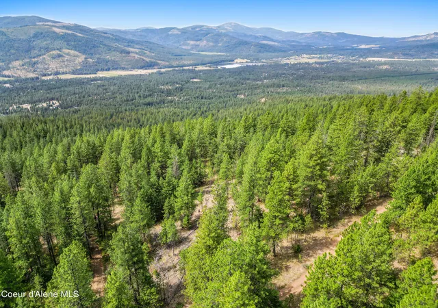 Photo 3 of Land for sale at Nna Usfs 2550 (40 Acres), Blanchard, ID 83804 | MLS# 26-7725 | Listing updated on 2026-09-10