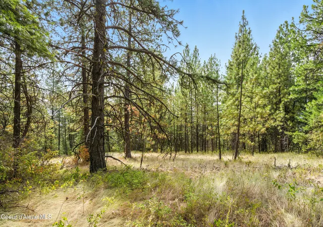 Photo 4 of Land for sale at Nna Usfs 2550 (40 Acres), Blanchard, ID 83804 | MLS# 26-7725 | Listing updated on 2026-09-10