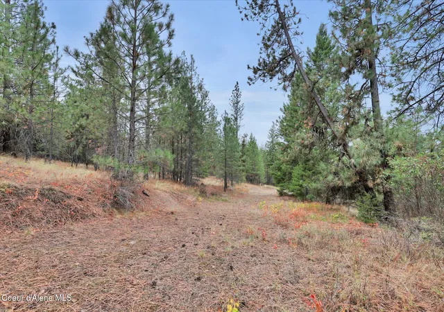 Photo 3 of Land for sale at 1571 Stone Rd, Blanchard, ID 83804 | MLS# 26-7637 | Listing updated on 2026-07-24