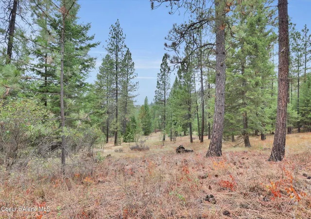 Photo 4 of Land for sale at 1571 Stone Rd, Blanchard, ID 83804 | MLS# 26-7637 | Listing updated on 2026-07-24