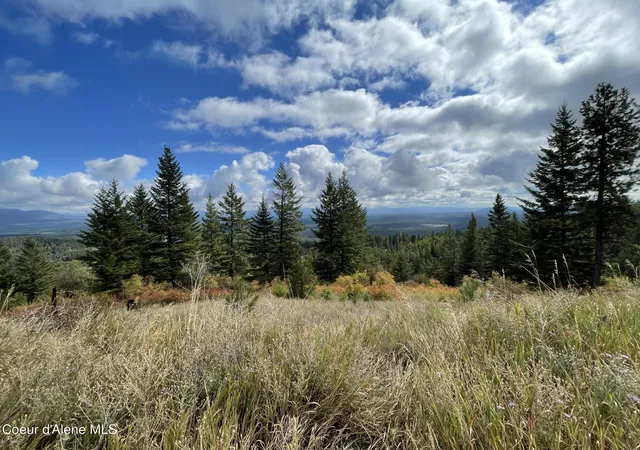 Photo 2 of Land for sale at Nka Glad Ln, Spirit Lake, ID 83869 | MLS# 26-7714 | Listing updated on 2026-08-17