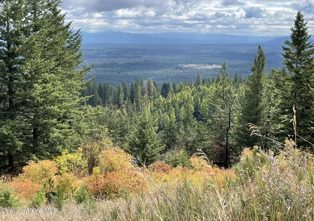 Photo 3 of Land for sale at Nka Glad Ln, Spirit Lake, ID 83869 | MLS# 26-7714 | Listing updated on 2026-08-17