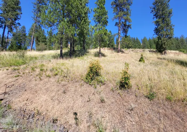 Photo 4 of Land for sale at Nna S Hearthstone Rd (lot 26), Harrison, ID 83833 | MLS# 26-7696 | Listing updated on 2026-07-27