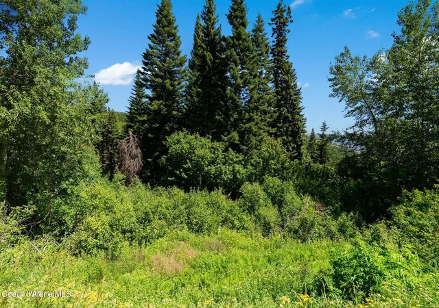 Photo 4 of Land for sale at Nna Telemark Rd, Sandpoint, ID 83864 | MLS# 26-7710 | Listing updated on 2026-07-28