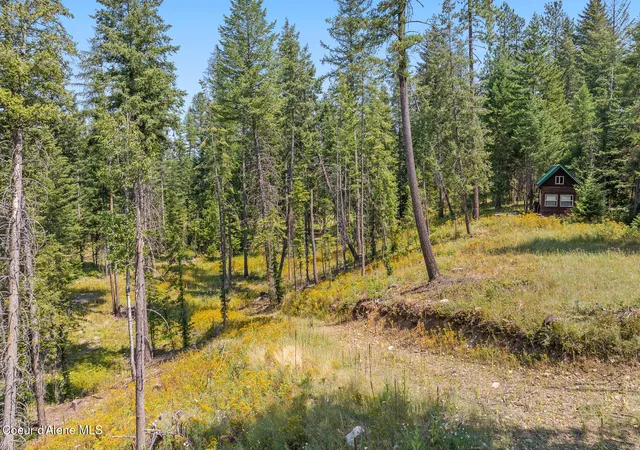 5th image of E Quarter Mile Rd, Athol, ID 83801 | MLS# 26-7751