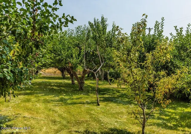 Photo 3 of Single family home for sale at 2763 W Hargrave Ave, Post Falls, ID 83854 | MLS# 26-7853 | Listing updated on 2026-10-01