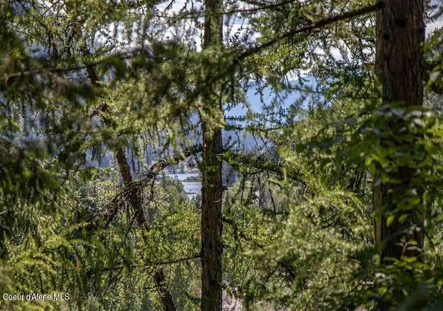 3rd image of Nna N Quail Run Rd, Sandpoint, ID 83864 | MLS# 26-7780