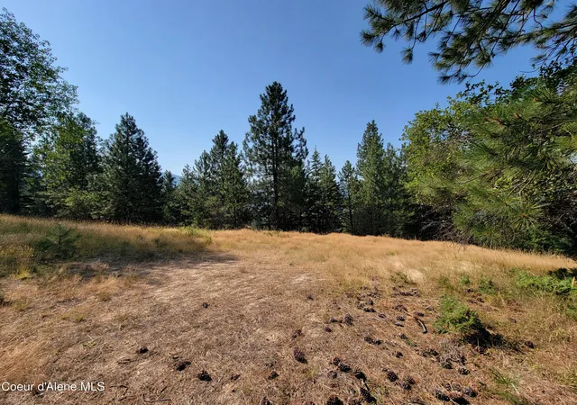 Photo 2 of Land for sale at Lot F Blue Star Ln, Pinehurst, ID 83850 | MLS# 26-7865 | Listing updated on 2026-08-05