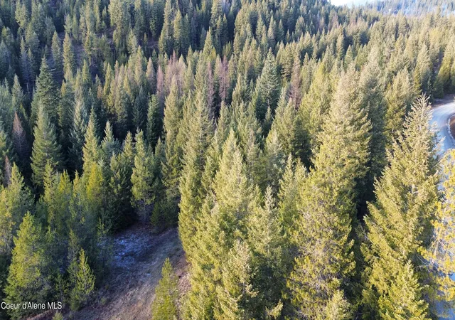 2nd image of L7 B1 Kelso Woods Dr, Athol, ID 83801 | MLS# 26-8063